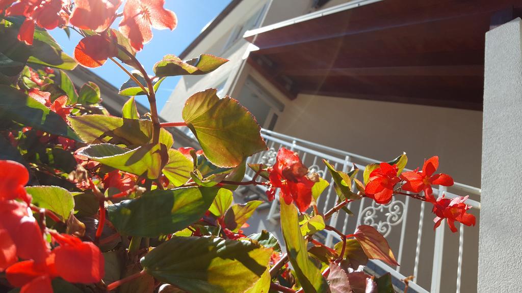 Ulika Rooms & Apartments ポレッチ エクステリア 写真